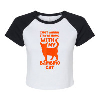 Stay Home With My Bambino Cat Funny Cat Mom Humor Cat Dad T Shirt Raglan Crop Top | Artistshot