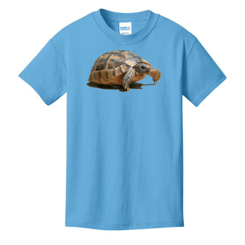 Portrait Of A Young Wild Tortoise Isolated T Shirt Basic Youth T-shirt by dubrayhecallezhd | Artistshot