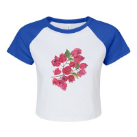 Bougainvillea On Black Raglan Crop Top | Artistshot