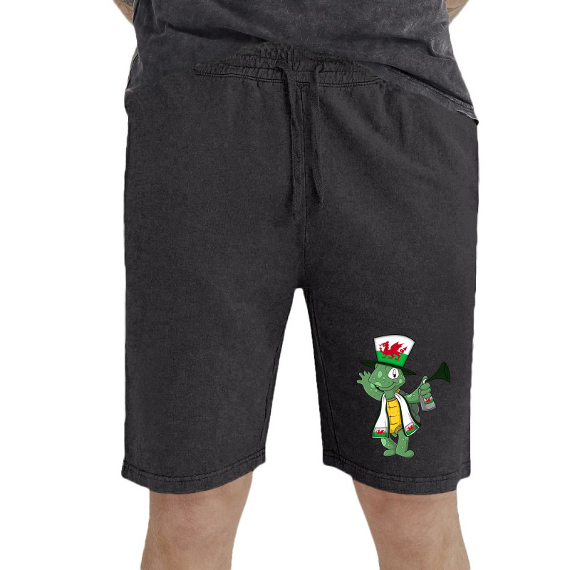 Wales Fan Turtle Vintage Short | Artistshot