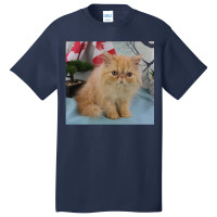 Red Tabby Persian Basic T-shirt | Artistshot