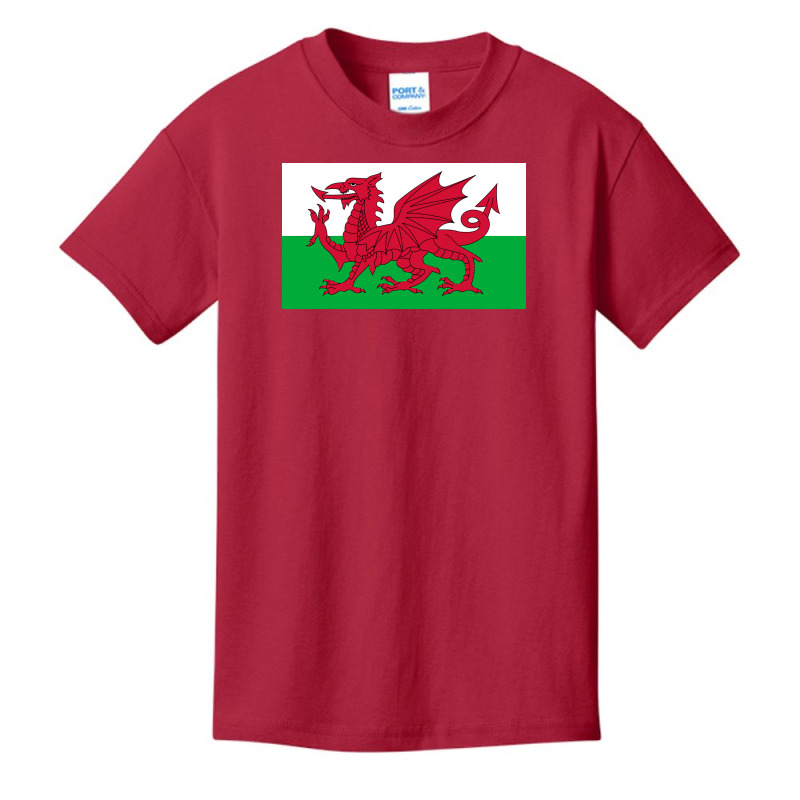 Wales National Flag Welsh Fan Bedspread Basic Youth T-shirt by PamelaAnnHarris | Artistshot