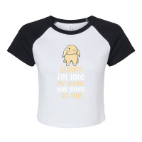 Sorry My Bearded Dragon Ate My Homework 1 Raglan Crop Top | Artistshot