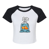 Little Fish Raglan Crop Top | Artistshot