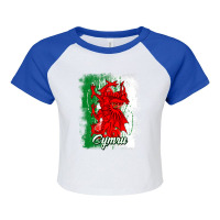 Wales Dragon National Symbol With The Welsh Flag C Raglan Crop Top | Artistshot