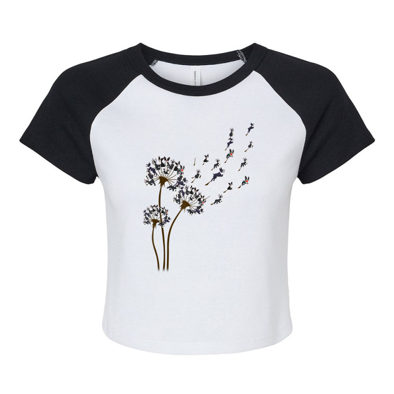 Boston Terrier Flower Fly Dandelion Boston Terrier Raglan Crop Top by yucalsye | Artistshot