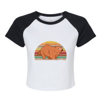 Marmot Retro Groundhog Vintage 3 Raglan Crop Top | Artistshot