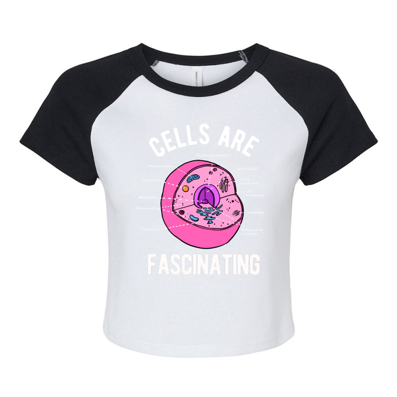 Biology Teacher Cells Are Fascinating Raglan Crop Top by gbirehgelesm | Artistshot