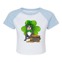 St Patricks Day Staffordshire Bull Terrier Shamroc Raglan Crop Top | Artistshot