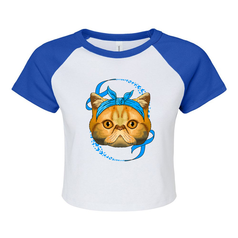 Exotic Shorthair Diabetes Awareness Cat Blue T1d S Raglan Crop Top by spreesgomez | Artistshot