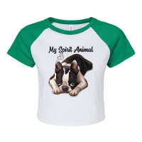 Boston Terrier Gift, Spirit Animal, Boston Terrier Raglan Crop Top | Artistshot