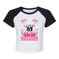 Cute Dog Lover Just A Girl Who Loves Boston Terrie Raglan Crop Top | Artistshot