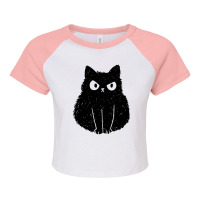 Cat Angry Feline Novelty Raglan Crop Top | Artistshot