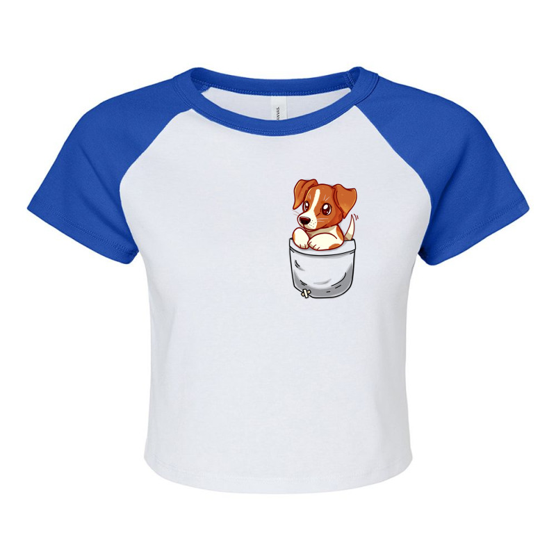 Pocket Cute Jack Russell Terrier Raglan Crop Top by whileyhewattz | Artistshot