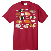 Guinea Pig Breeds   Costume Clothing Accessories Basic T-shirt | Artistshot