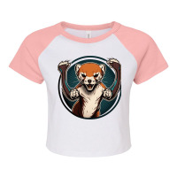 Weasel Angry Raglan Crop Top | Artistshot