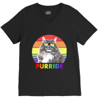 Funny Siberian Cat Rainbow Gay Pride Lgbtq V-neck Tee | Artistshot