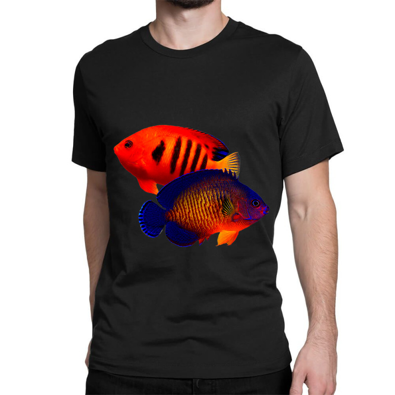 Saltwater Dwarf Angelfish Flame Angel Coral Beauty Classic T-shirt | Artistshot