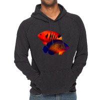 Saltwater Dwarf Angelfish Flame Angel Coral Beauty Vintage Hoodie | Artistshot