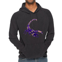 Scorpion Bug Novel Design For Wildlife Nature Love Vintage Hoodie | Artistshot