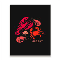 Sea Life Lobster Crab Shrimp And Clams Ocean Seafo Metal Print Vertical | Artistshot