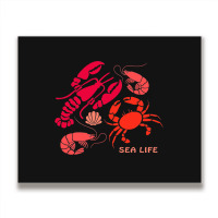 Sea Life Lobster Crab Shrimp And Clams Ocean Seafo Metal Print Horizontal | Artistshot