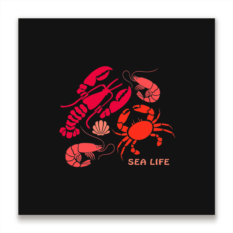 Sea Life Lobster Crab Shrimp And Clams Ocean Seafo Metal Print Square | Artistshot