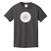 Platonic Solids Building Blocks Of Life Mathematics Geometry 11739281 Basic Youth T-shirt | Artistshot