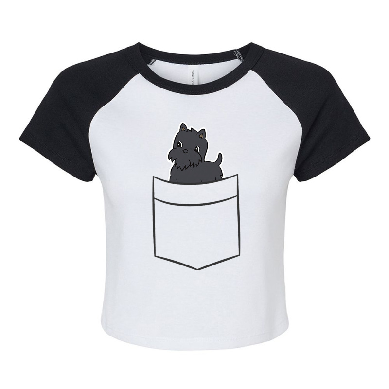 Scottish Terrier Dog In Pocket Cute Scottie Raglan Crop Top by HUGOFLORES | Artistshot