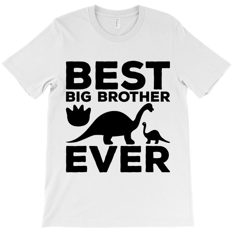 Sibling Dinosaur Trex Humor Best Big Brother Ever  T-shirt | Artistshot