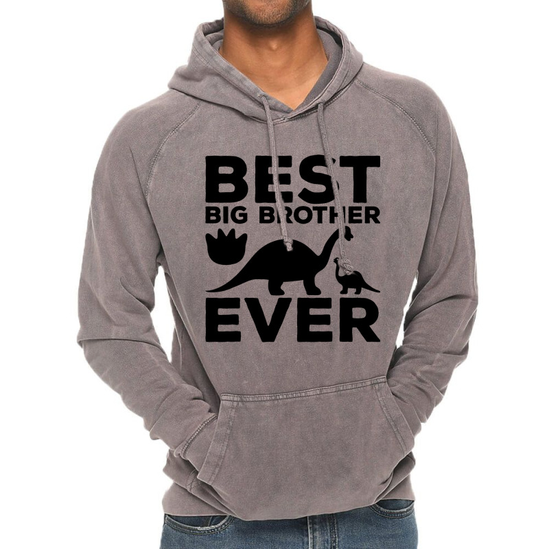 Sibling Dinosaur Trex Humor Best Big Brother Ever  Vintage Hoodie | Artistshot