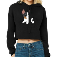 Sorry I Cant I Have Plans With My Rat Terrier Dog Cropped Hoodie | Artistshot