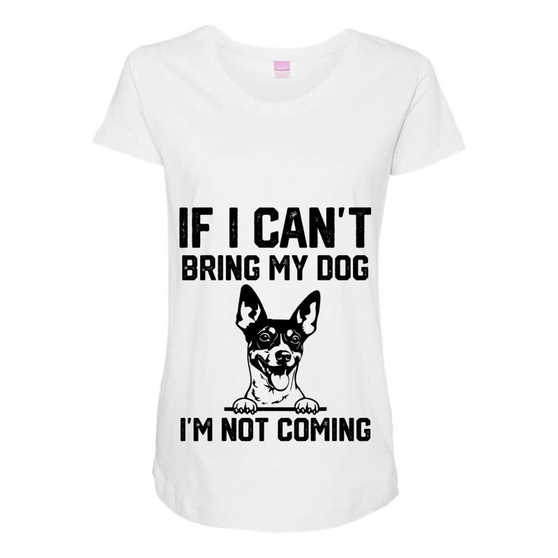 Rat Terrier If I Cant Bring My Dog Im Not Coming Maternity Scoop Neck T-shirt by EmpressSmithson | Artistshot