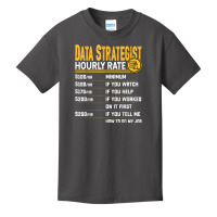 Data Strategist Hourly Rate   Funny Data Analytic Expert Basic Youth T-shirt | Artistshot