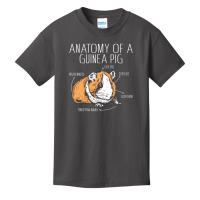 Anatomy Of A Guinea Pig, Anatomy Of A Guinea Pig Vintage, Anatomy Of A Basic Youth T-shirt | Artistshot