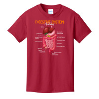 Funny Digestive System Anatomy Anatomical Biology Teacher T Shirt Basic Youth T-shirt | Artistshot