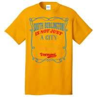 South Burlington Is Not Just A City South Burlington Vermont T Shirt Basic T-shirt | Artistshot