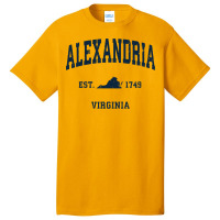 Alexandria Virginia Va Vintage Athletic Navy Sports Design Long Sleeve Basic T-shirt | Artistshot