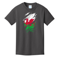 Wales Flag Welsh Dragon Baner Y Ddraig Goch Cardiff Heritage T Shirt Basic Youth T-shirt | Artistshot