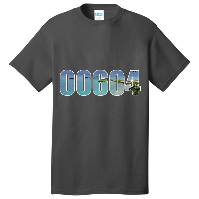 Aguadilla 00604 Zip Code Basic T-shirt | Artistshot