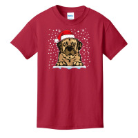 Anatolian Shepherd Dog Christmas Santa Hat Matching Family Long Sleeve Basic Youth T-shirt | Artistshot