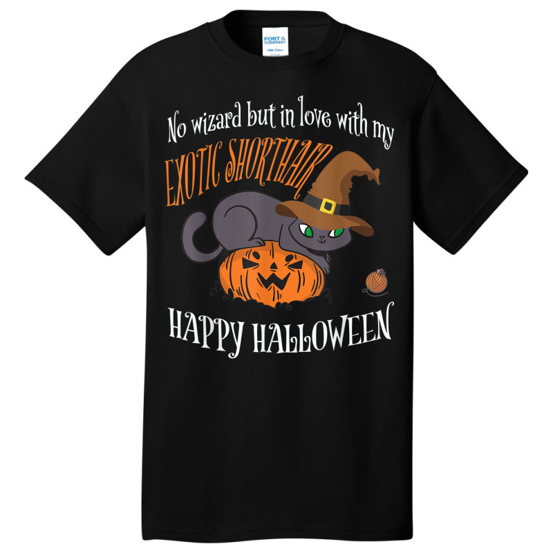 Exotic Shorthair   Cat Lover Not A Wizard Funny Halloween Basic T-shirt by Fashonus | Artistshot