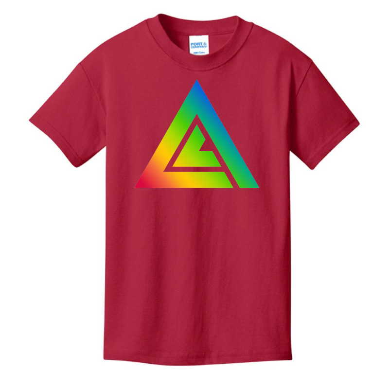 Amd Avid Audiovisual Identity Database Basic Youth T-shirt | Artistshot