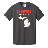 Palmyra Michigan Usa State America Travel Michiganian T Shirt Basic Youth T-shirt | Artistshot