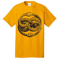 The Auryn Basic T-shirt | Artistshot