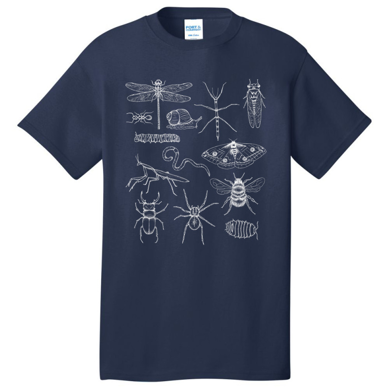 Minibeasts Insects And Invertebrates Drawings Basic T-shirt | Artistshot