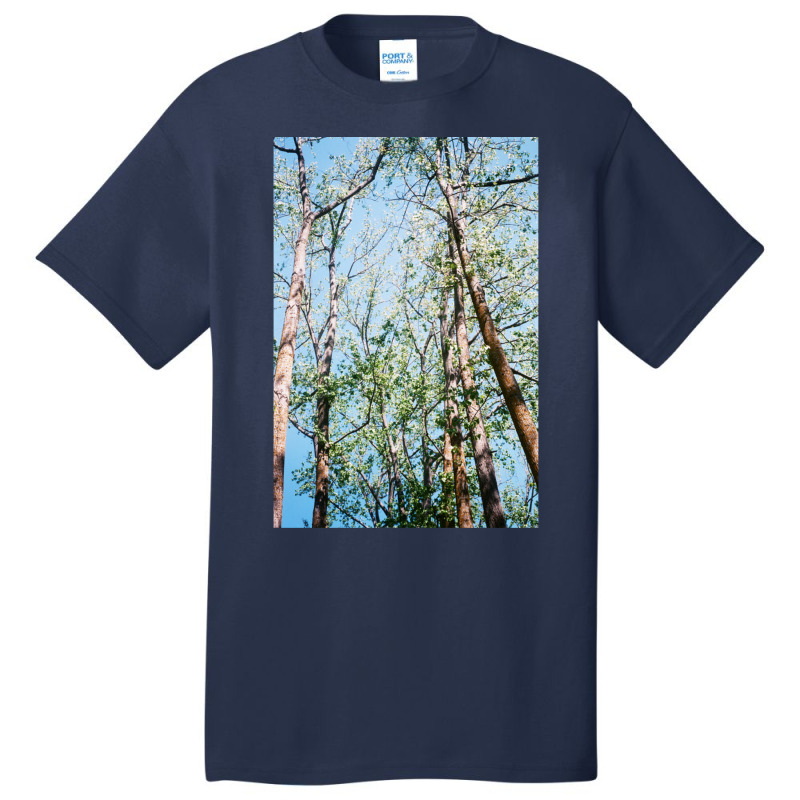 Mystic Forest Basic T-shirt by KarrieLBreuer | Artistshot