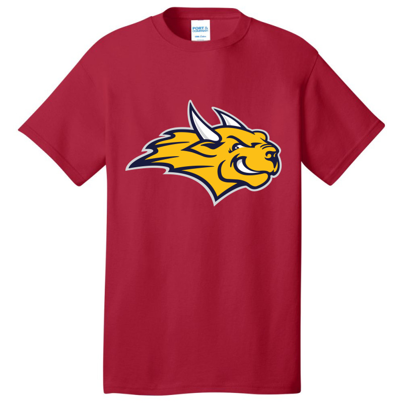 Webster University Basic T-shirt | Artistshot