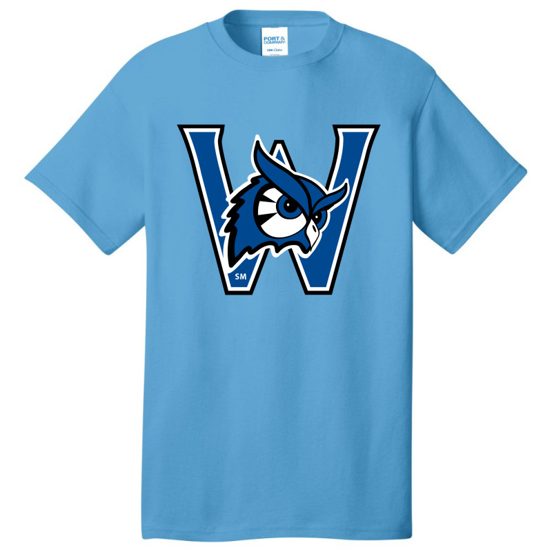 Westfield State Owls Basic T-shirt | Artistshot