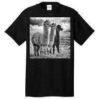 Lama Lineup Basic T-shirt | Artistshot